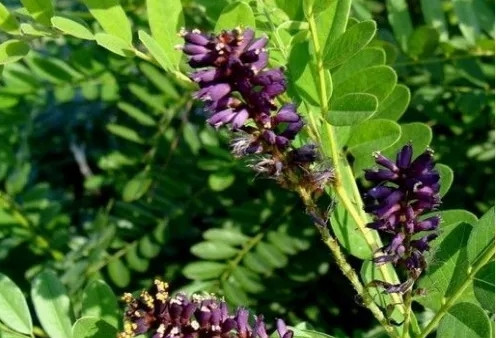 1634369793637770.jpg 1634369793637770.jpg