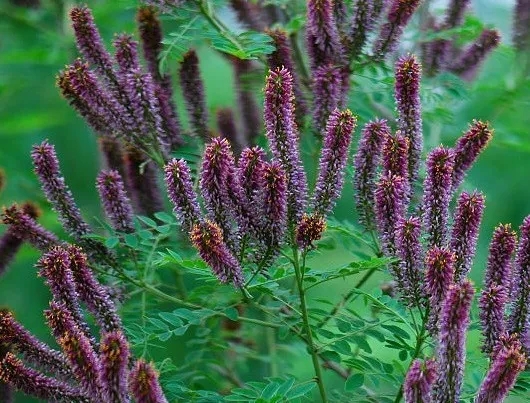 1634369809447811.jpg 1634369809447811.jpg