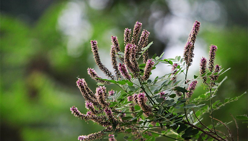 1634371080842478.jpg 555.jpg