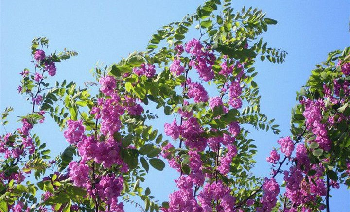 1634371097803420.jpg 1634371097803420.jpg