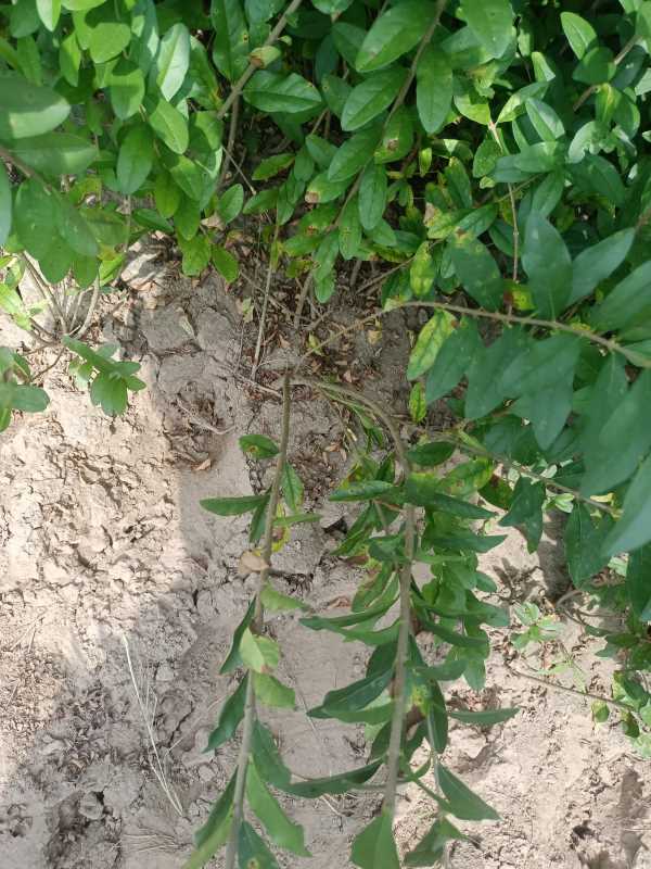 1730443029978465.jpg IMG_20220917_114752.jpg