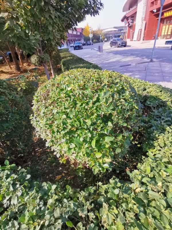 1730445943669436.jpg IMG_20231108_105445.jpg