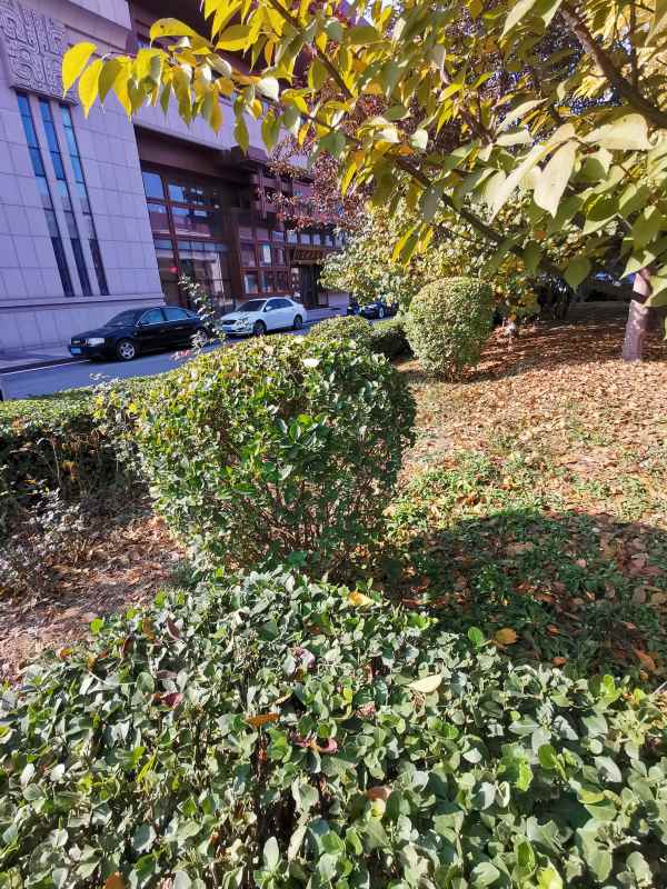 1730446962988596.jpg IMG_20231108_105344.jpg