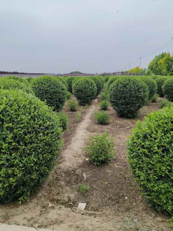 1730447303388327.jpg IMG_20230524_145059.jpg