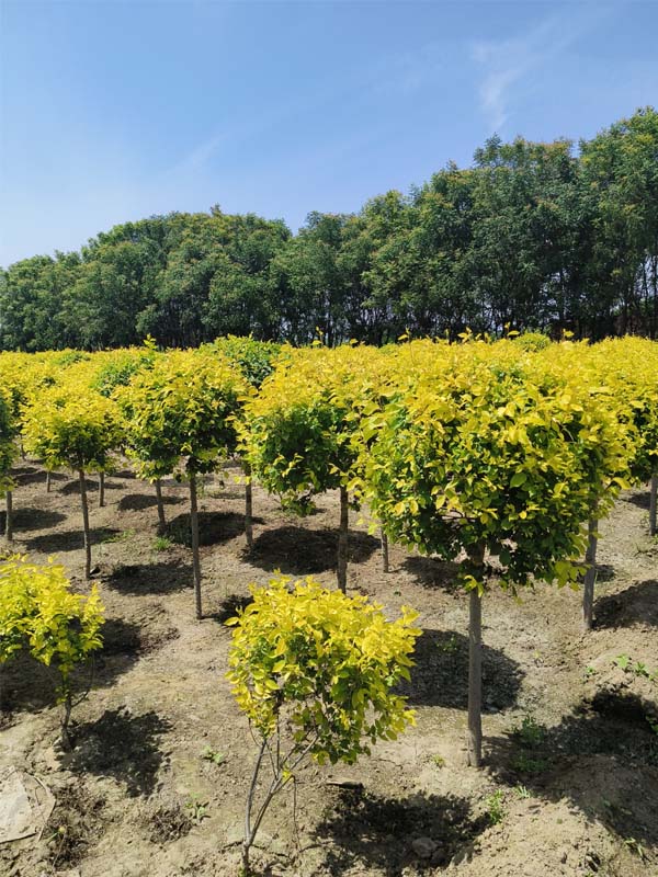 1730787040658202.jpg 23.jpg