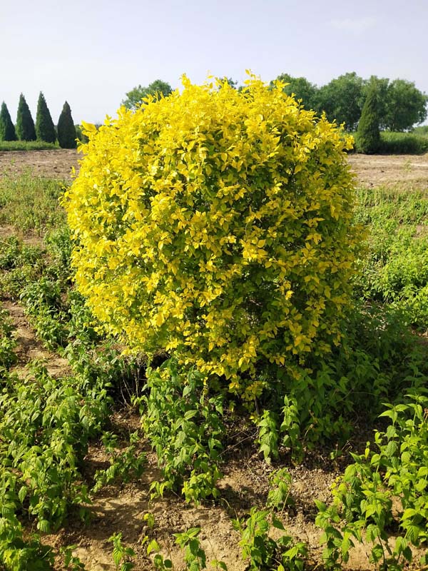 1730788662671445.jpg 12.jpg