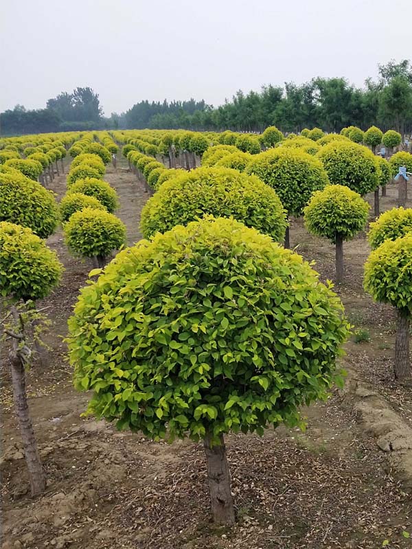 1730789527124955.jpg 5.jpg