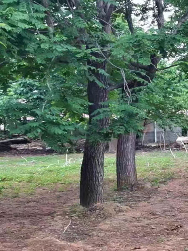 1731997382467567.jpg 10.jpg