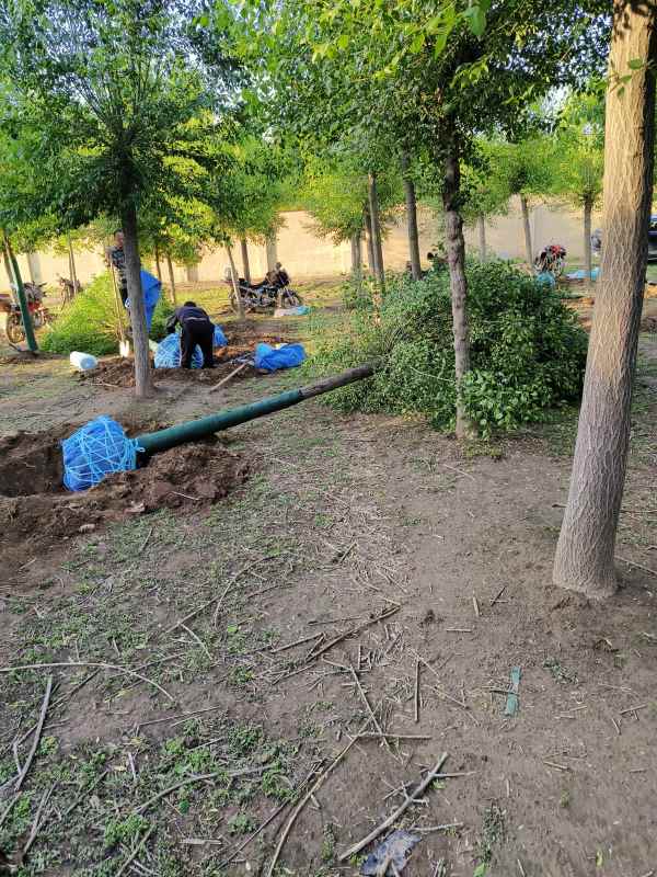 1732347160994401.jpg IMG_20230429_063502.jpg