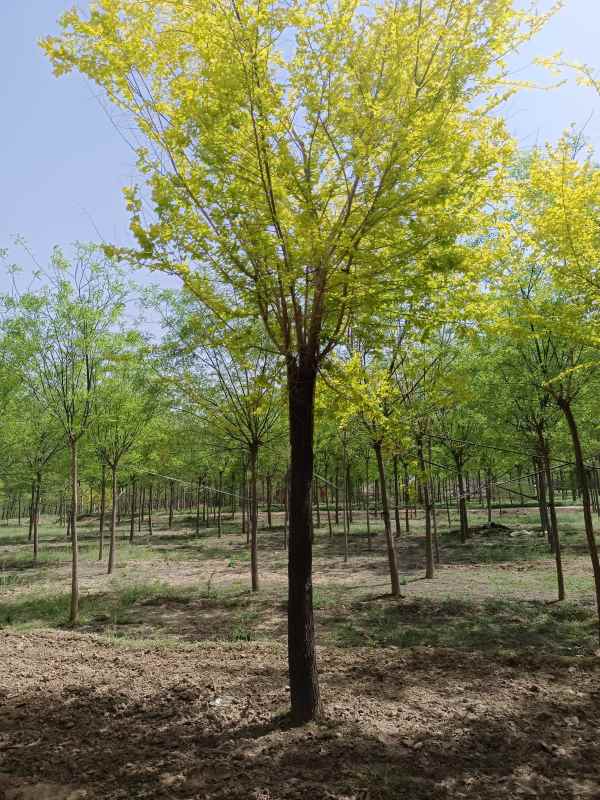 1732415983544434.jpg IMG_20220423_104457.jpg