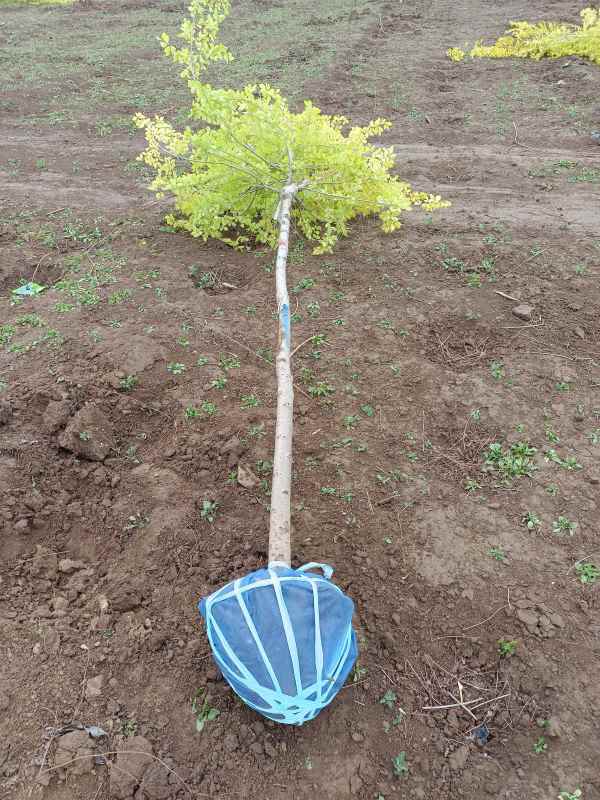 1732416607898575.jpg IMG_20220428_092439.jpg