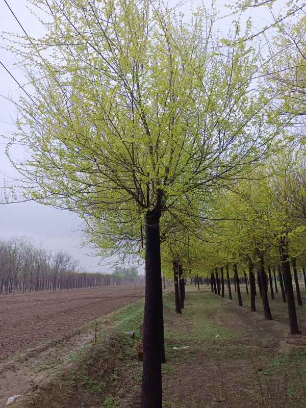 1732417551564544.jpg IMG_20230404_115308.jpg