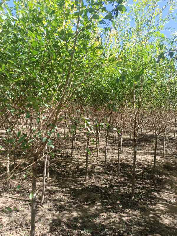 1732417881714607.jpg IMG_20221010_130040.jpg