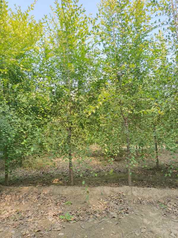 1732418010571380.jpg IMG_20221014_113054.jpg