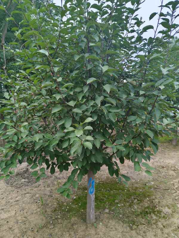 1732599420989048.jpg IMG_20230901_152451.jpg