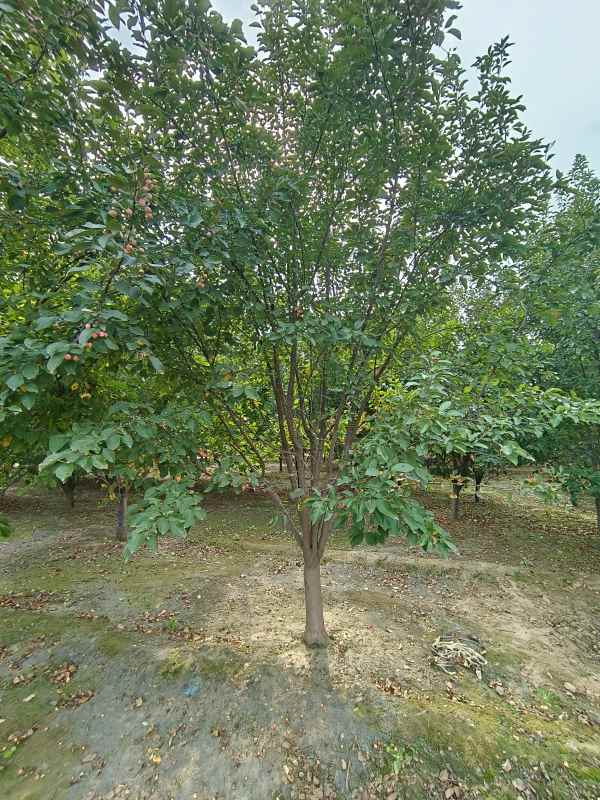 1732599601357342.jpg IMG_20230901_152323.jpg