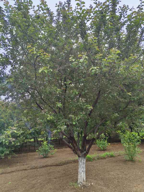 1732600032188633.jpg IMG_20230519_121039.jpg