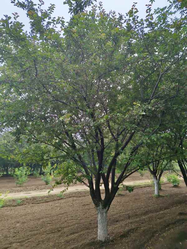 1732600166431105.jpg IMG_20230519_121006.jpg