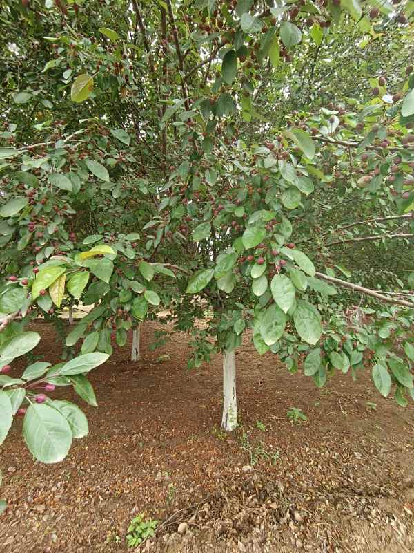 1732600586941593.jpg IMG_20230519_120021.jpg