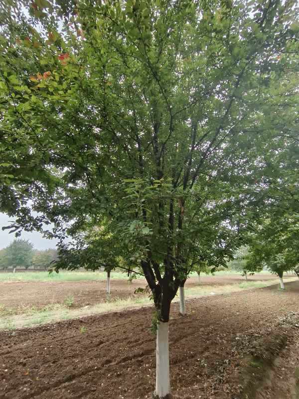 1732600963781562.jpg IMG_20230519_115535.jpg