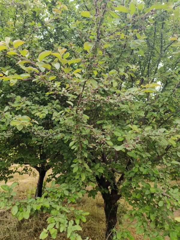 1732601341203309.jpg IMG_20230519_111943.jpg