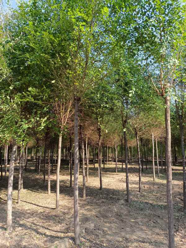 1732687023140711.jpg IMG_20211023_124836.jpg