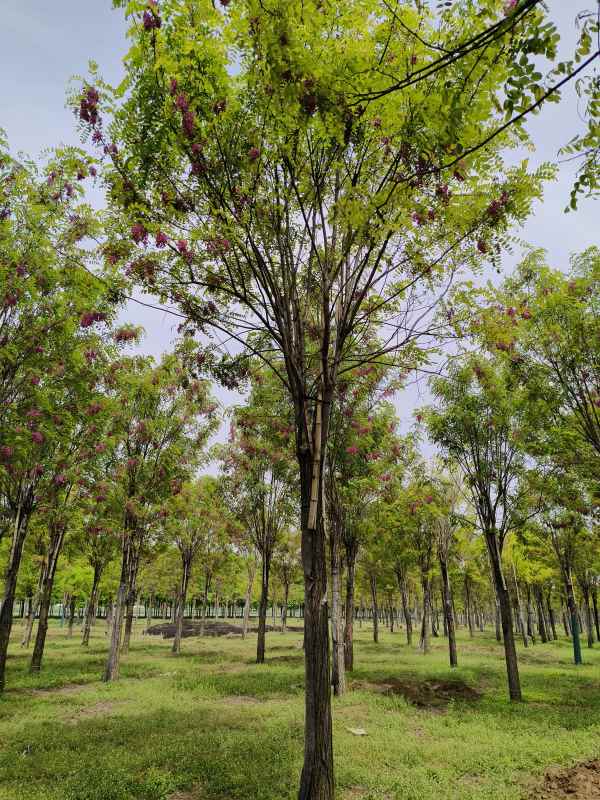 1732860189767137.jpg IMG_20230428_102612.jpg