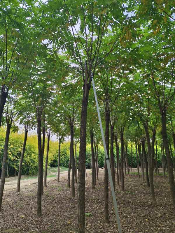 1732860433200103.jpg IMG_20231002_152444.jpg