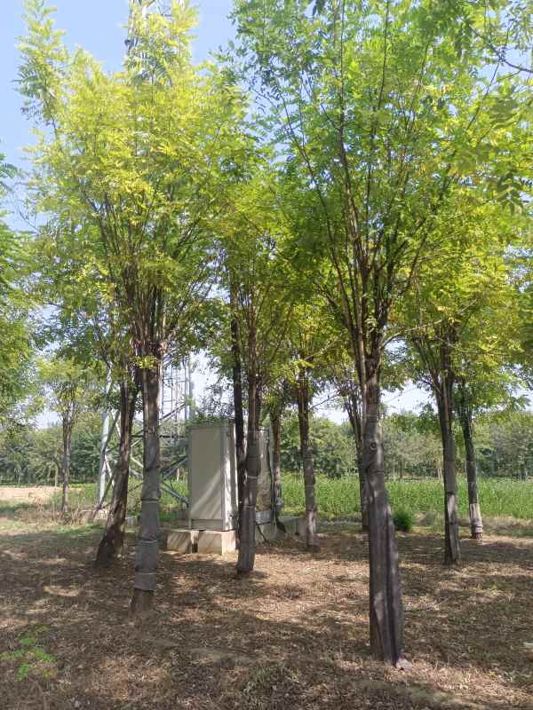 1732860766941962.jpg IMG_20220926_125043.jpg