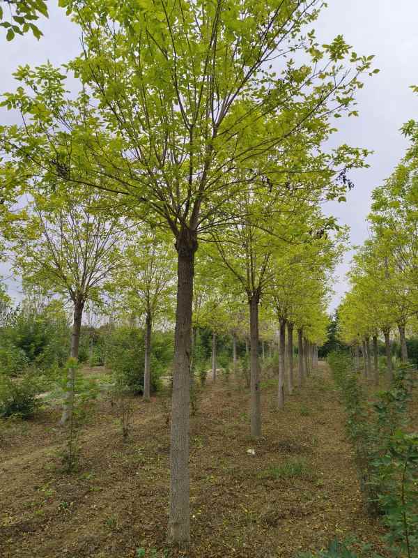 1732947211246789.jpg IMG_20230922_161818.jpg