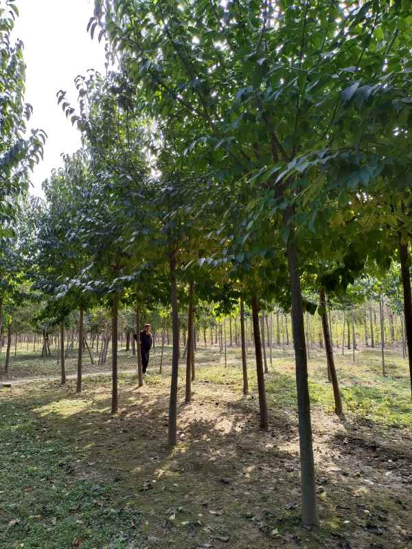 1733037753568769.jpg IMG_20211019_092256.jpg