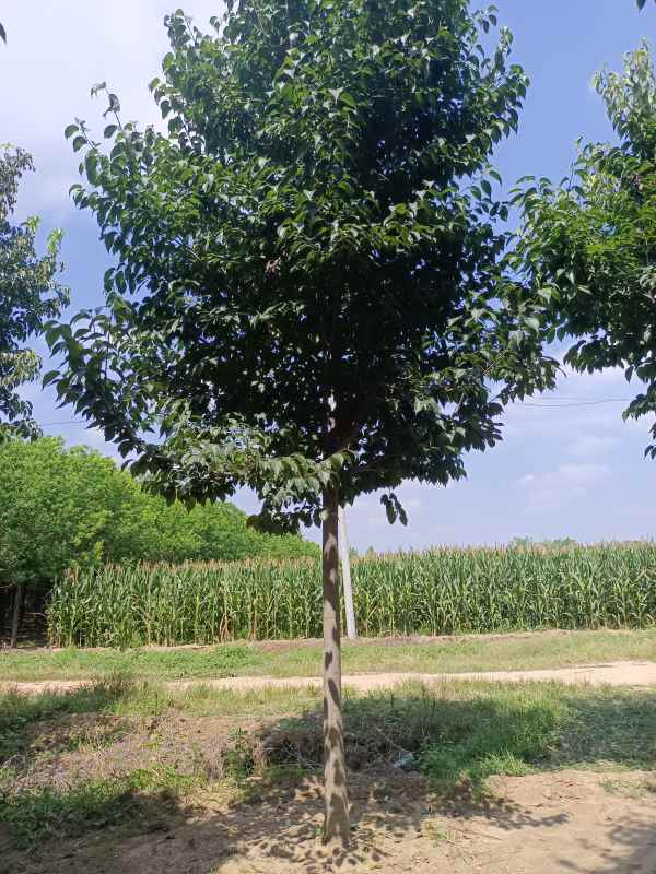 1733038414868520.jpg IMG_20220902_124702.jpg