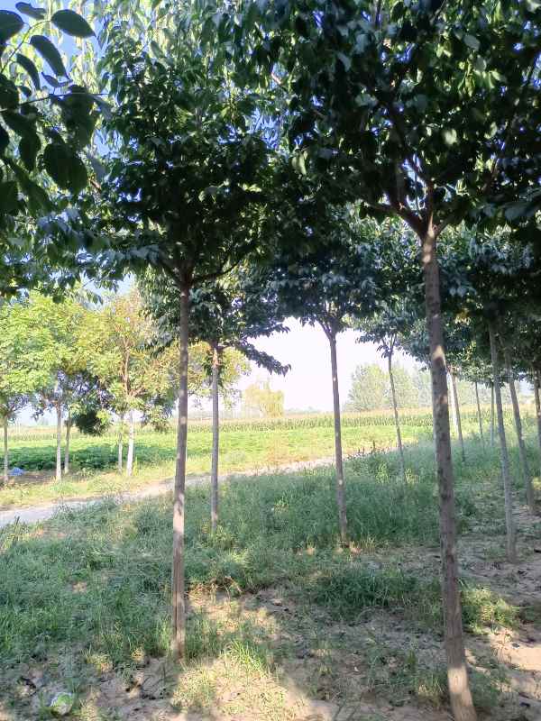 1733038878938846.jpg IMG_20220916_152504.jpg