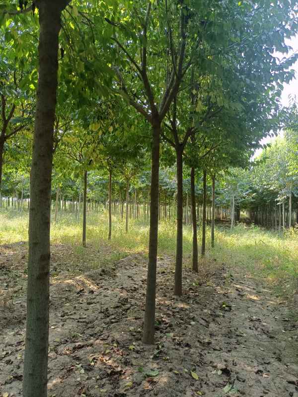 1733038961619263.jpg IMG_20220918_093646.jpg