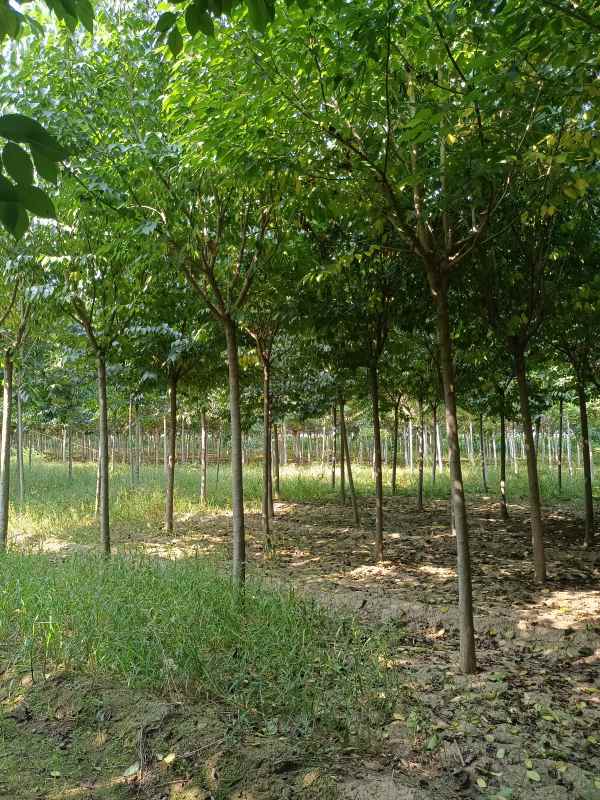 1733039027346519.jpg IMG_20220918_093654.jpg