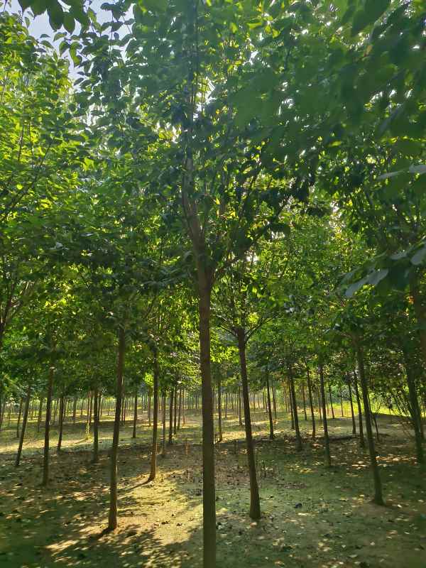 1733039405153300.jpg IMG_20230831_100158.jpg