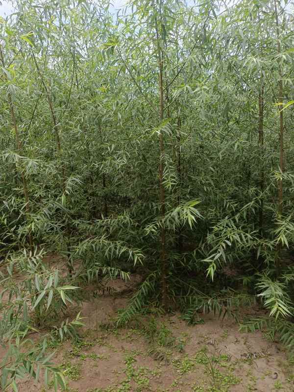 1733206047333798.jpg IMG_20220908_130019.jpg