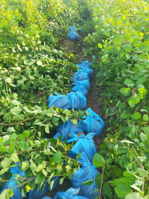 1733360538321024.jpg mmexport1660819359945.jpg