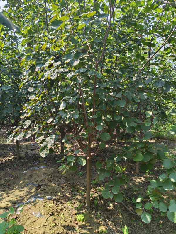 1733361916373158.jpg IMG_20230831_131156.jpg