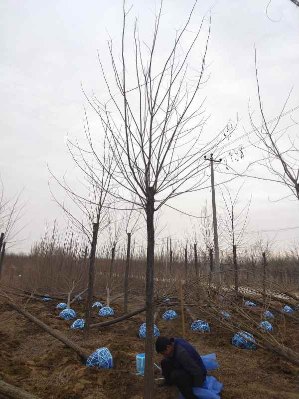 1733551808813136.jpg IMG_20210223_093029.jpg