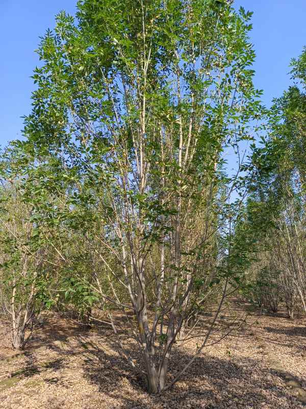 1733897838665219.jpg IMG_20211023_101623.jpg