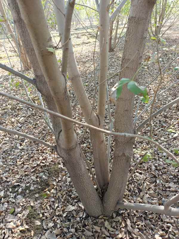 1733897915747465.jpg IMG_20211023_101446.jpg