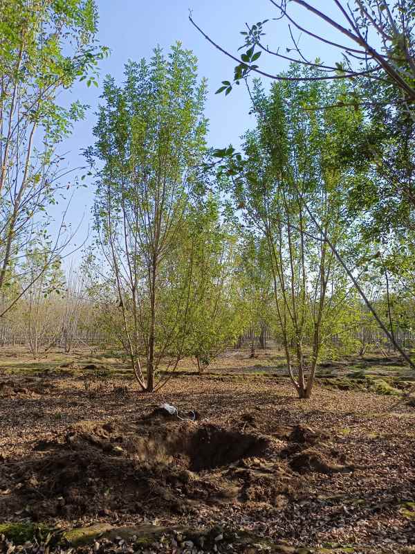 1733897988416590.jpg IMG_20211023_101053.jpg