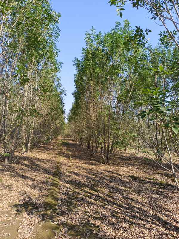 1733898303993043.jpg IMG_20211023_100856.jpg