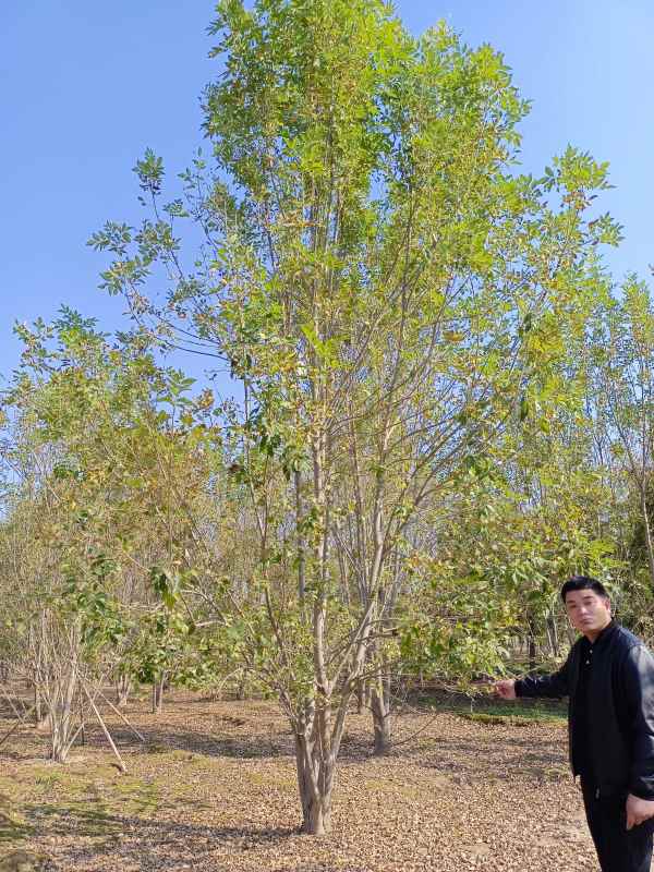 1733898534805299.jpg IMG_20211023_100807.jpg