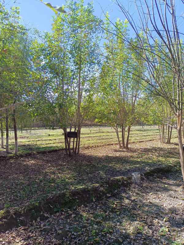 1733898669937047.jpg IMG_20211016_115440.jpg