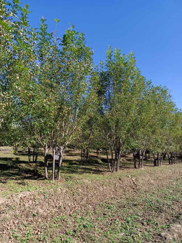 1733899062331442.jpg IMG_20211016_115222.jpg