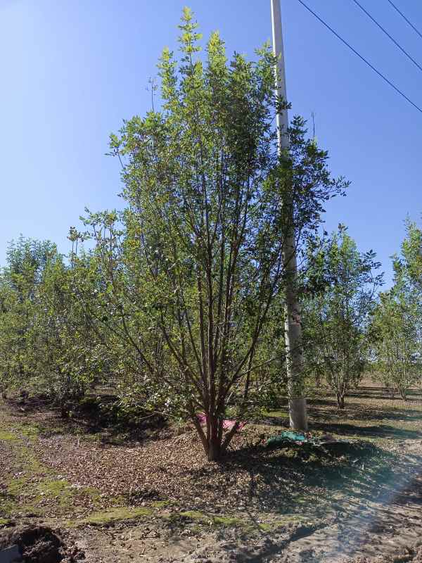 1733899301958078.jpg IMG_20211016_114104.jpg