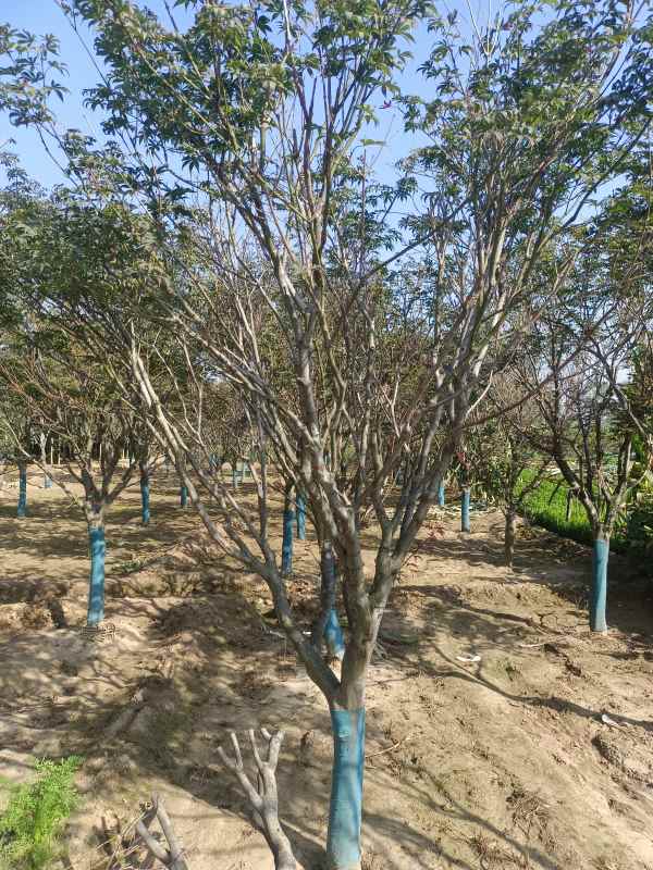 1734243212230886.jpg IMG_20220925_093107.jpg