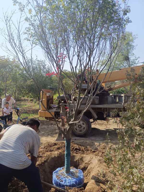 1734243596169874.jpg IMG_20220925_140029.jpg